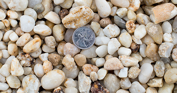 Pearl Ovals